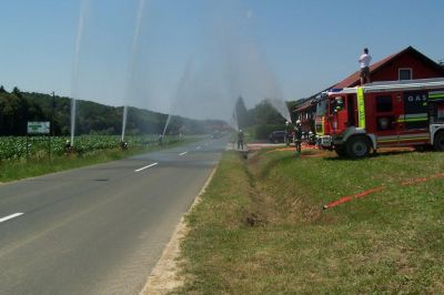 Zlata poroka gasilcev PGD Grabšinski breg