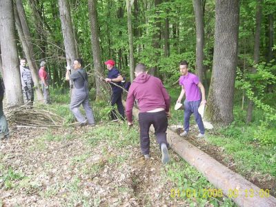 Kresovanje PGD Grabšinski breg 2015