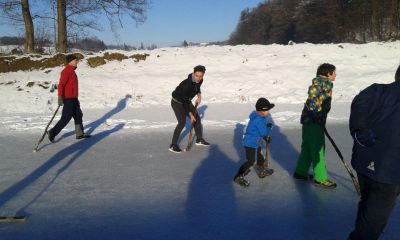 Hokej na ledu po domače