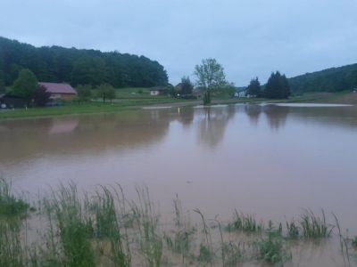 Neurje in plaz Senčak