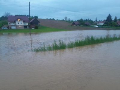 Neurje in plaz Senčak