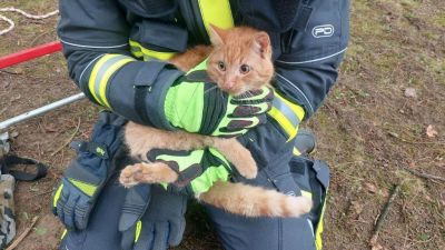 Reševanje mačke